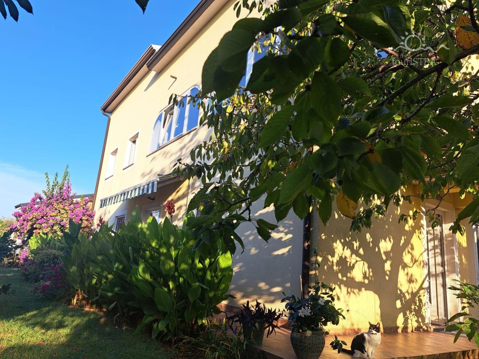 Bozica House With Apartments Murine Екстериор снимка