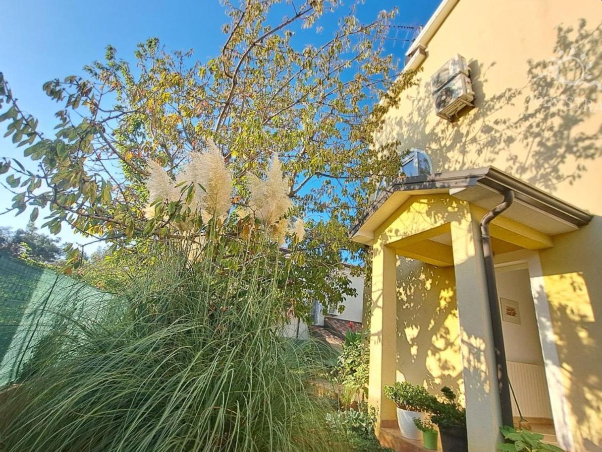 Bozica House With Apartments Murine Екстериор снимка